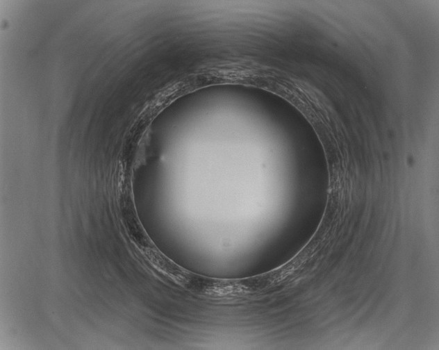 X0000083610752200702201249