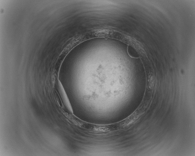 X0000083610753200702201249