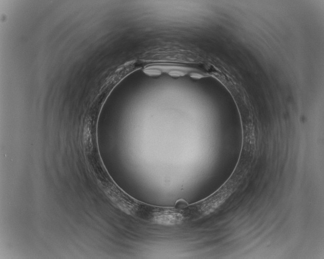 X0000083610754200702201249