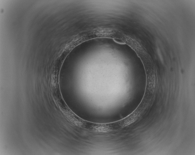 X0000083610755200702201249