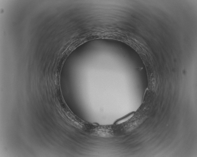 X0000083610756200702201249