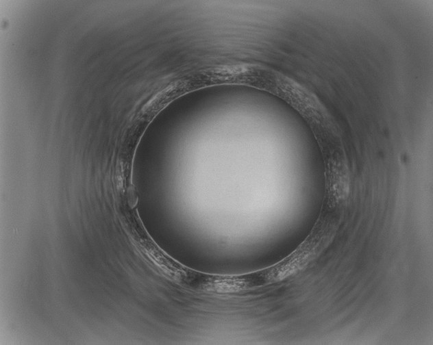 X0000083610758200702201249