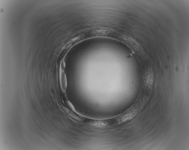 X0000083610759200702201249