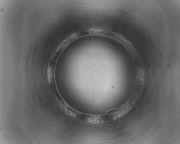 X0000083610761200702201249