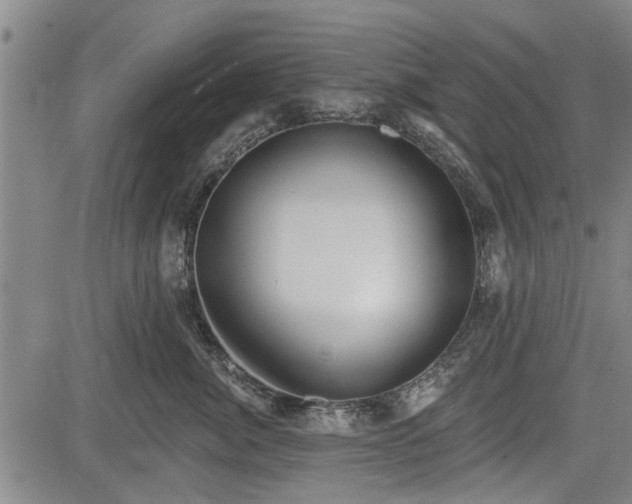 X0000083610764200702201250