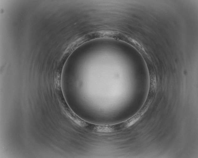 X0000083610766200702201250