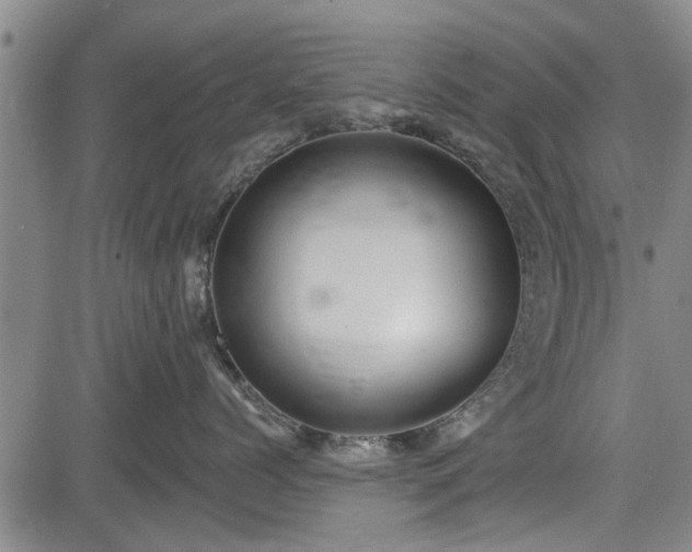 X0000083610768200702201250