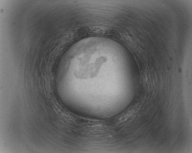 X0000083610769200702201249