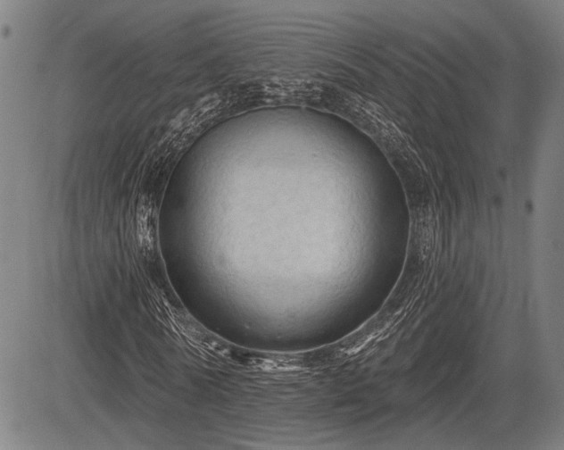 X0000083610770200702201249