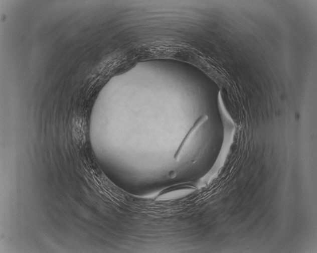 X0000083610772200702201249