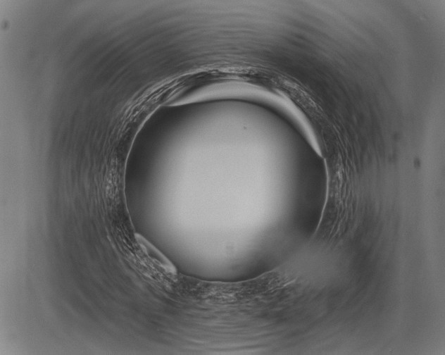 X0000083610773200702201249