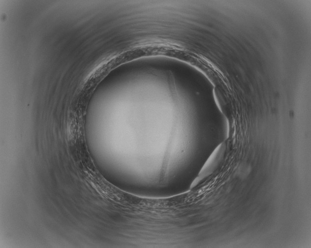 X0000083610775200702201249