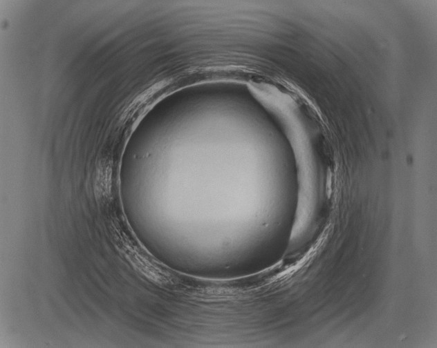 X0000083610777200702201249