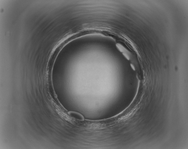 X0000083610779200702201249