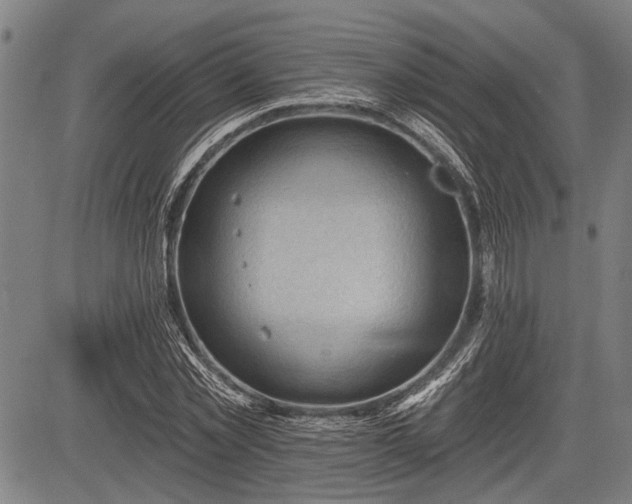 X0000083610781200702201249