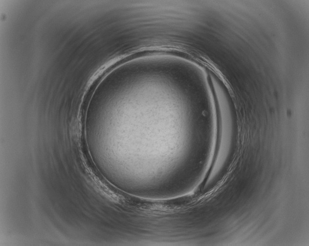 X0000083610787200702201248