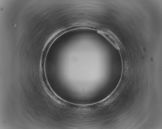 X0000083610788200702201248