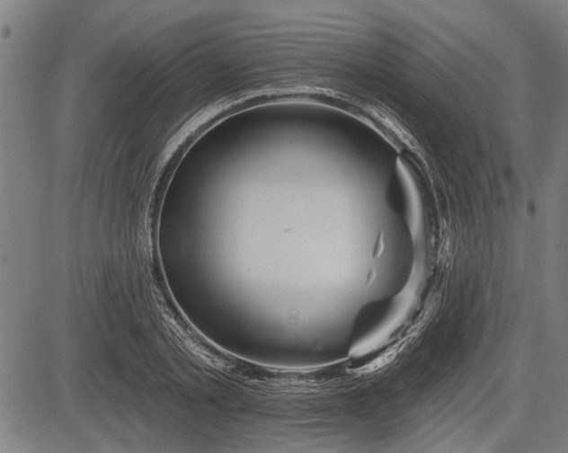 X0000083610789200702201248