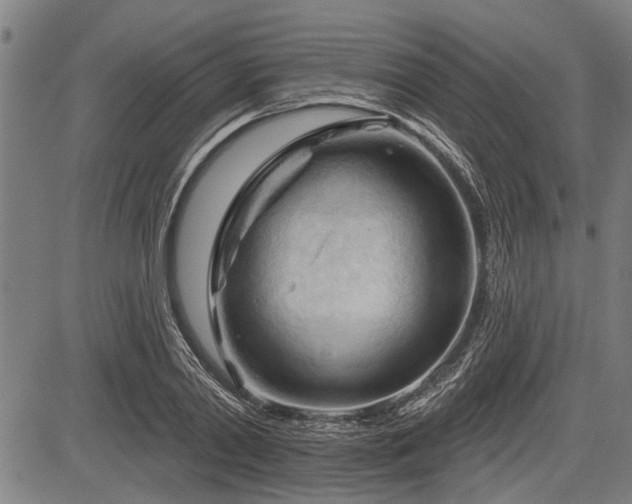 X0000083610790200702201248