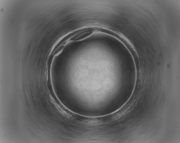 X0000083610791200702201248