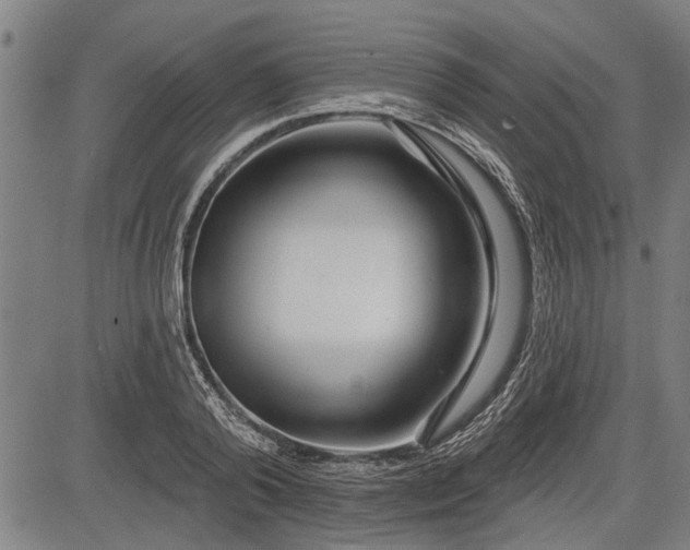 X0000083610792200702201248