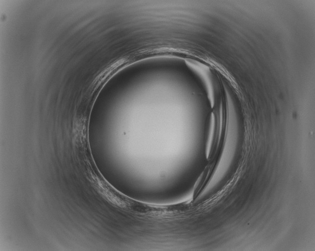 X0000083610793200702201248