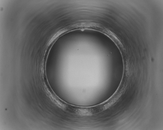 X0000083610794200702201248