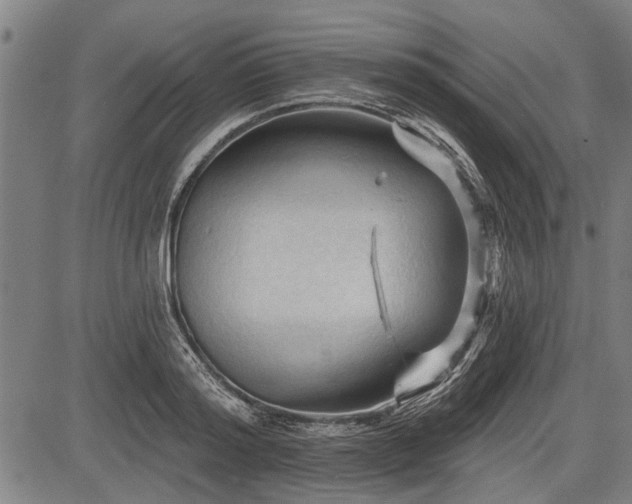 X0000083610796200702201248