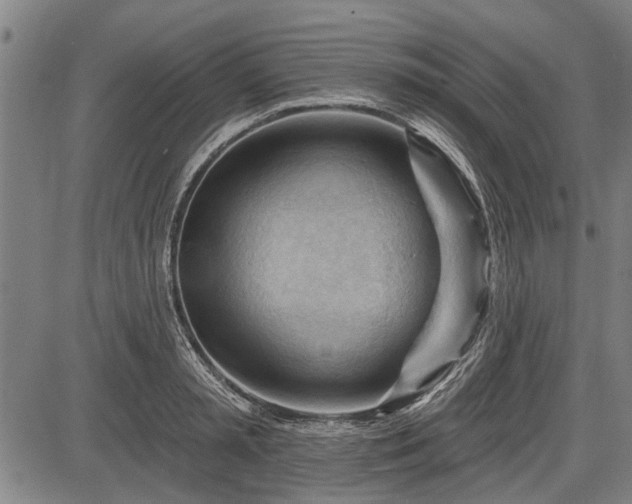 X0000083610797200702201248