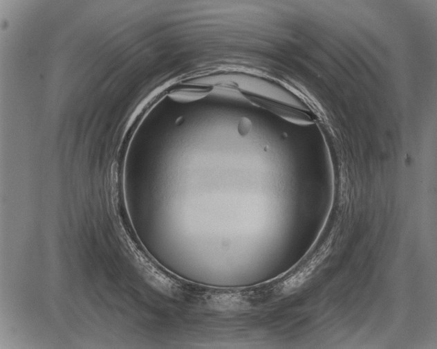 X0000083610798200702201248