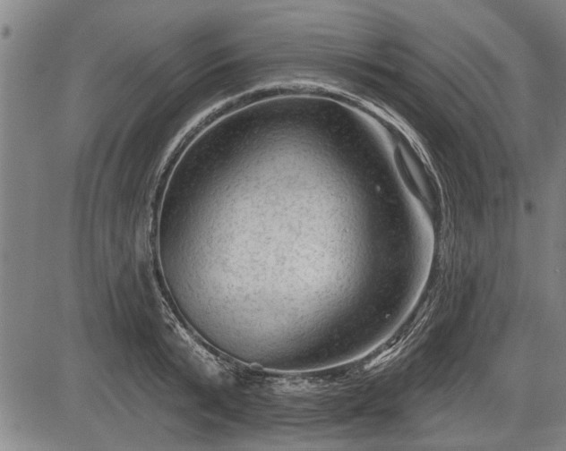 X0000083610799200702201248