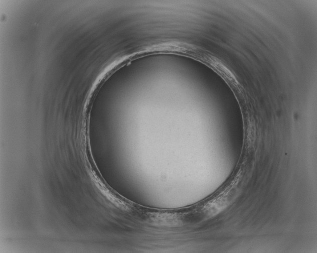 X0000083610800200702201248