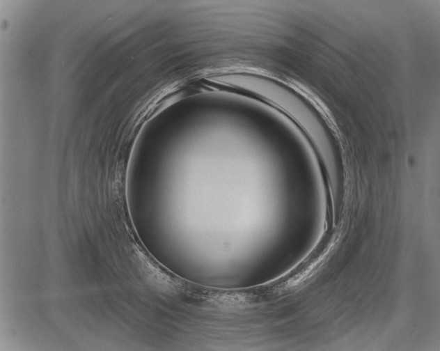 X0000083610801200702201248