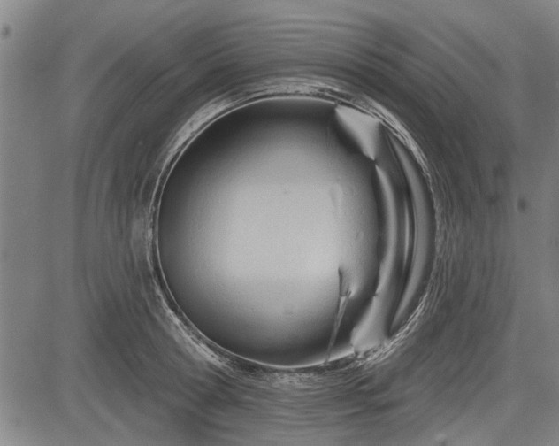 X0000083610802200702201248