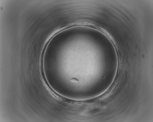 X0000083610803200702201248