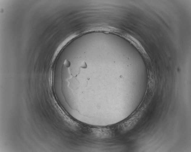 X0000083610804200702201248