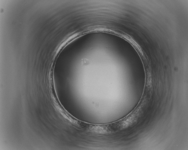 X0000083610806200702201248