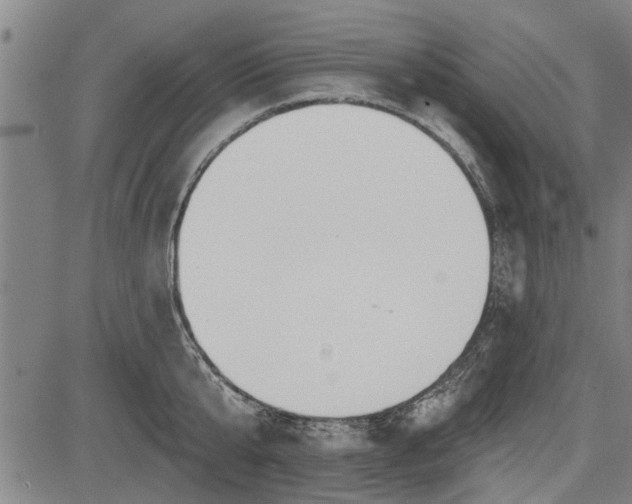 X0000083610807200702201248