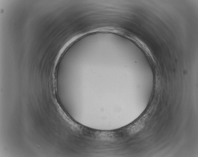 X0000083610808200702201248