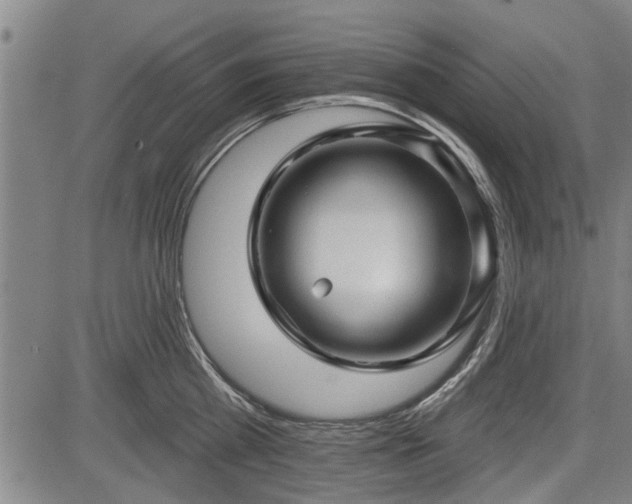 X0000083610809200702201248