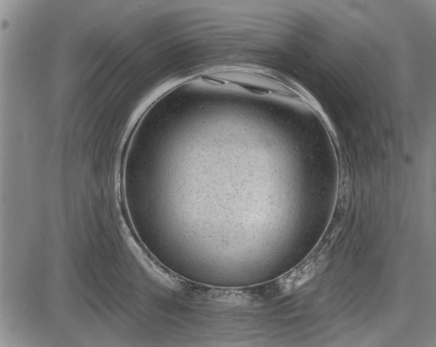 X0000083610811200702201248