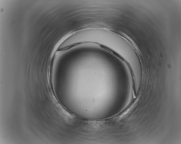 X0000083610812200702201248