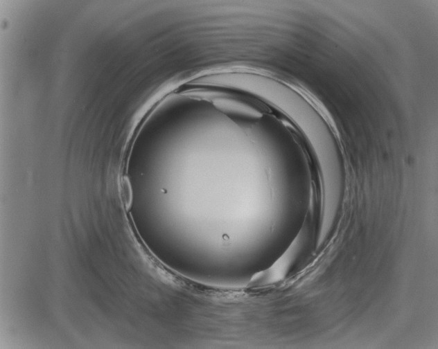 X0000083610813200702201248