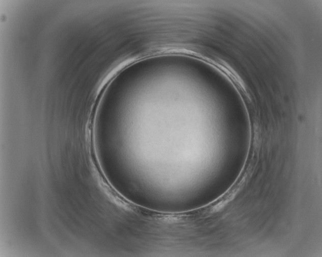 X0000083610814200702201248