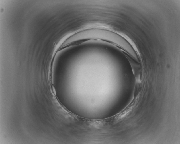 X0000083610815200702201248