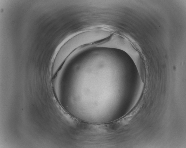 X0000083610816200702201248