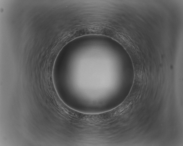 X0000083610817200702201247