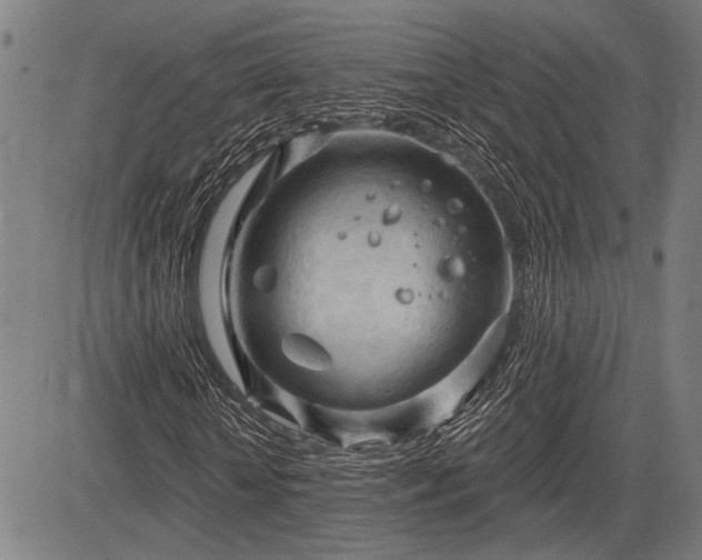 X0000083610818200702201247