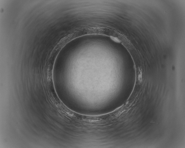 X0000083610819200702201247