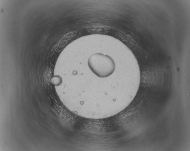 X0000083610820200702201247